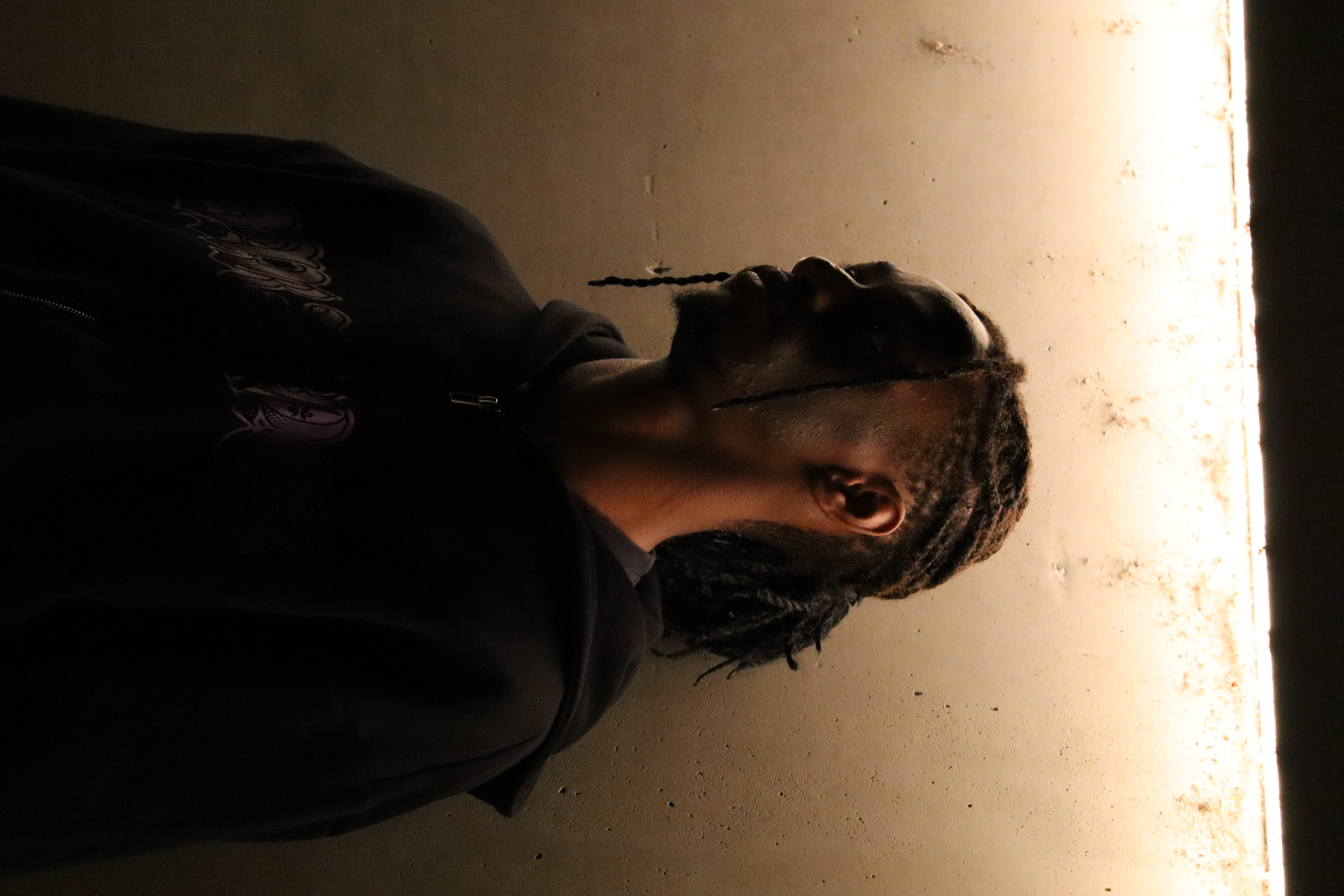Portrait artistique
